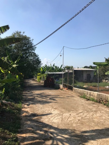 Chuyển hướng công việc nên mình để lại lô đất 1300m² tại Gia Kiệm – Thống Nhất, Đồng Nai.